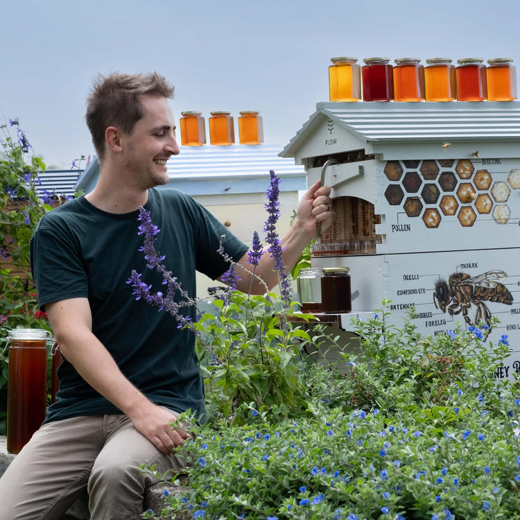 Deluxe Holiday Season Bundle