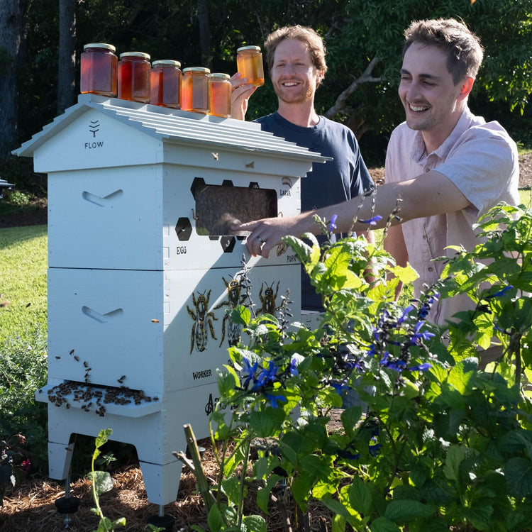 Flow Hive 2