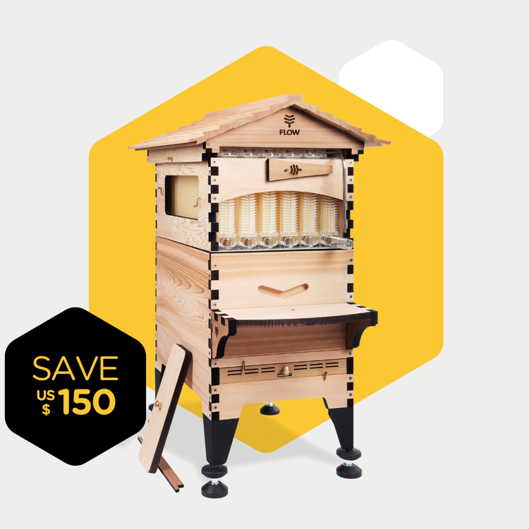 Flow Hive 2+ – Scratch & Dent