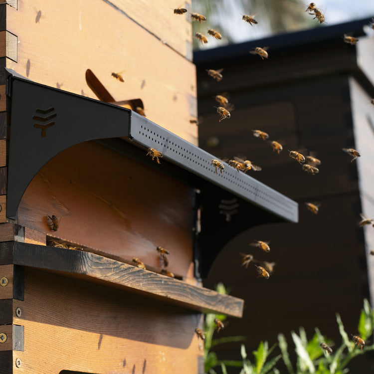 Deluxe Black Friday Beekeeper Bundle