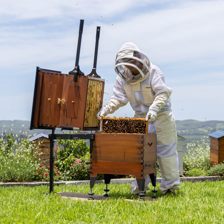 51845091426672,51845091393904