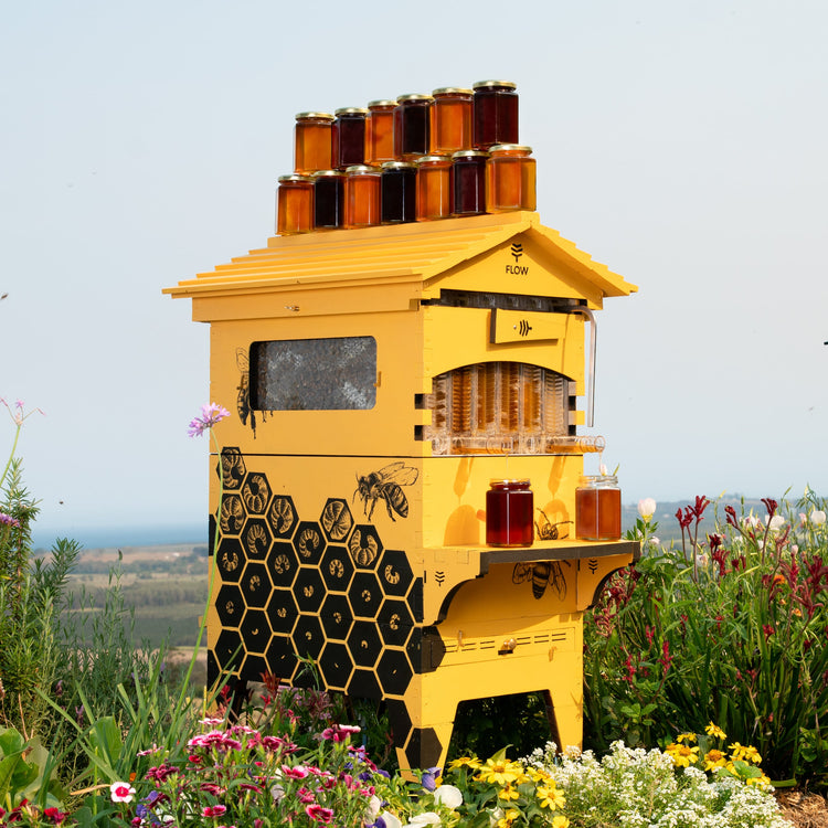 Deluxe Holiday Season Bundle