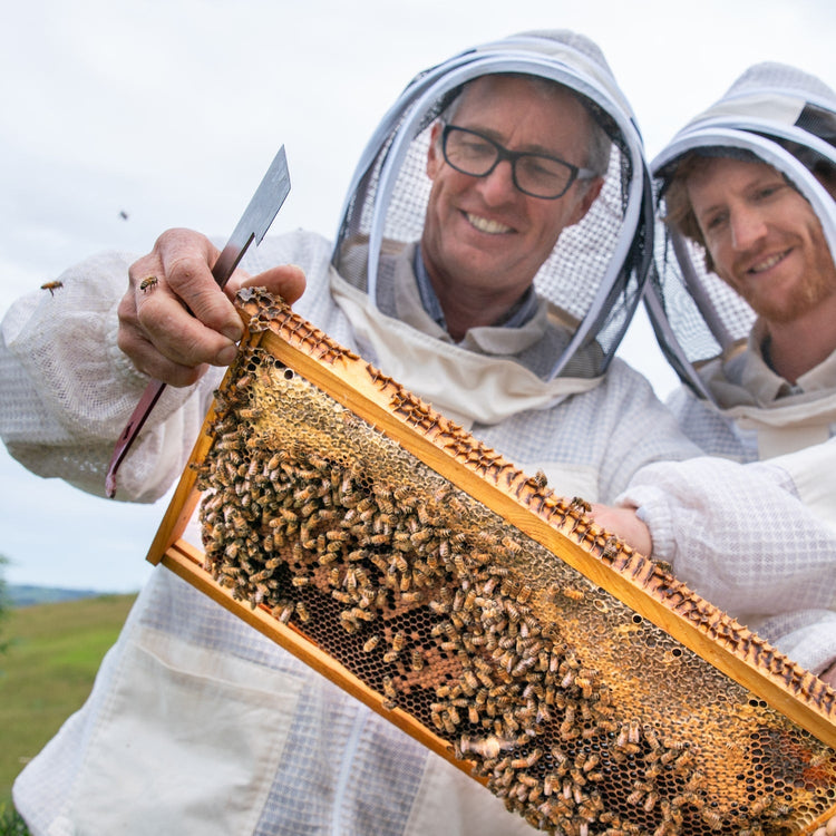 J-Hive Tool