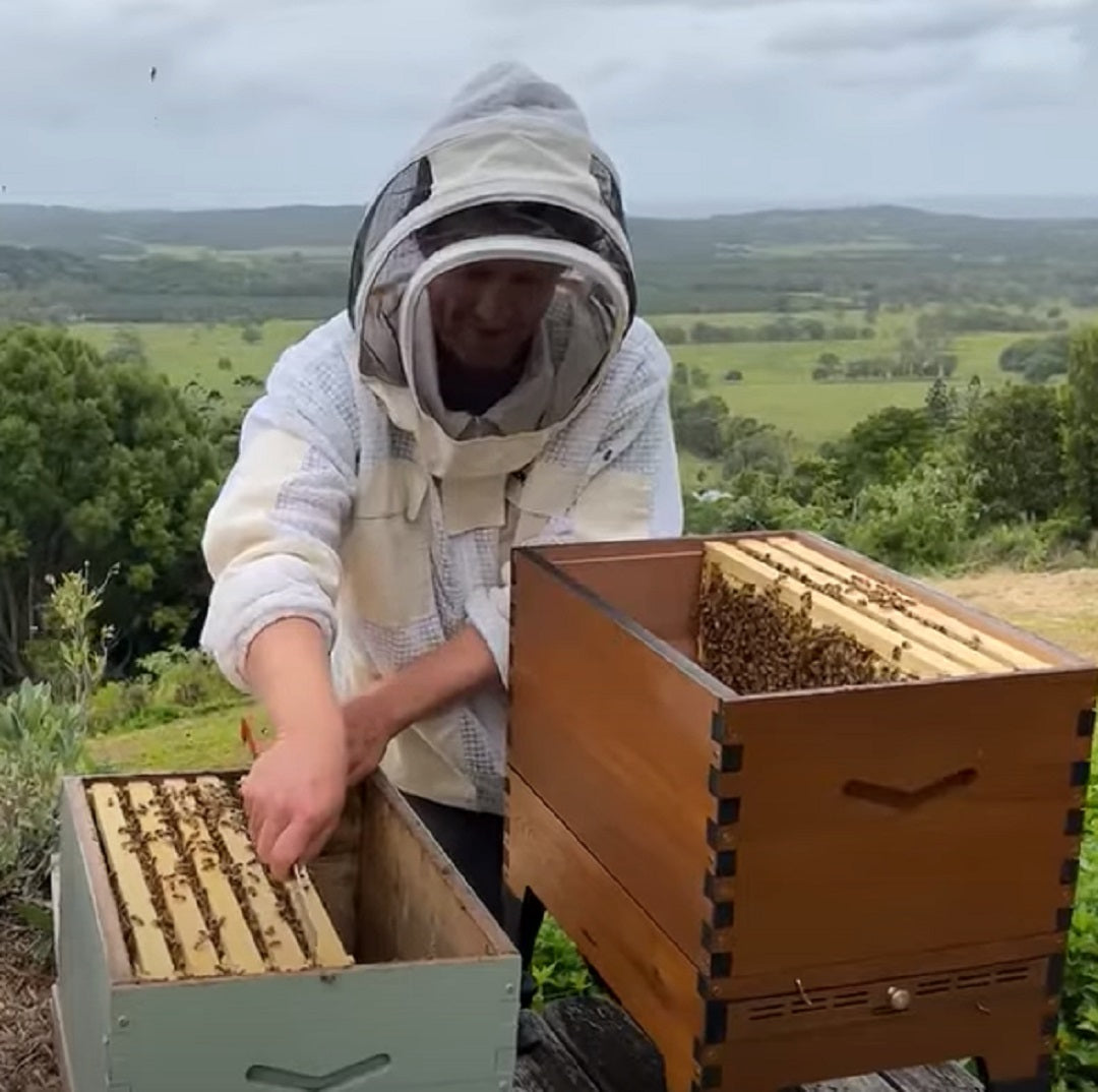 How do I split my hive in spring | Step by step video - Flow Hive CA