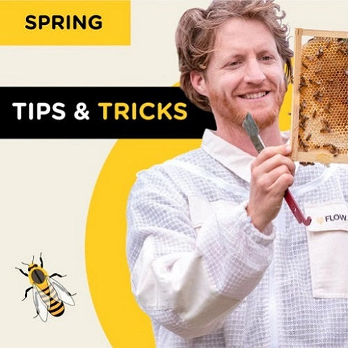 Spring Beekeeping Tips You Need To Know This Season