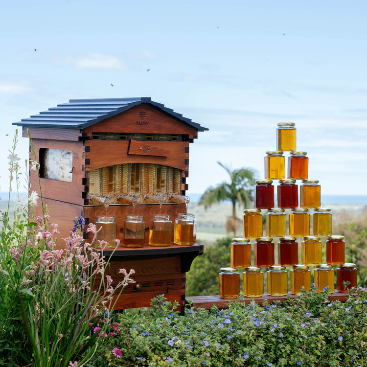 Apiary Bundle 1