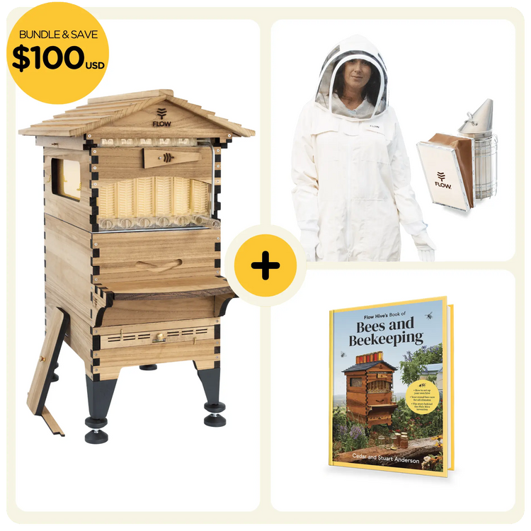 Basic Starter Bundle