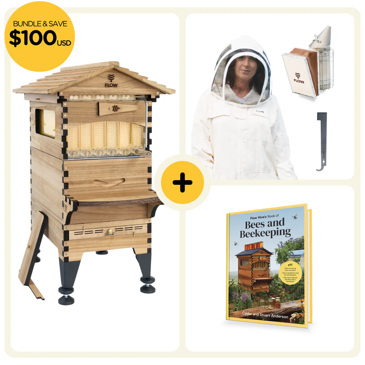 Starter Bundle