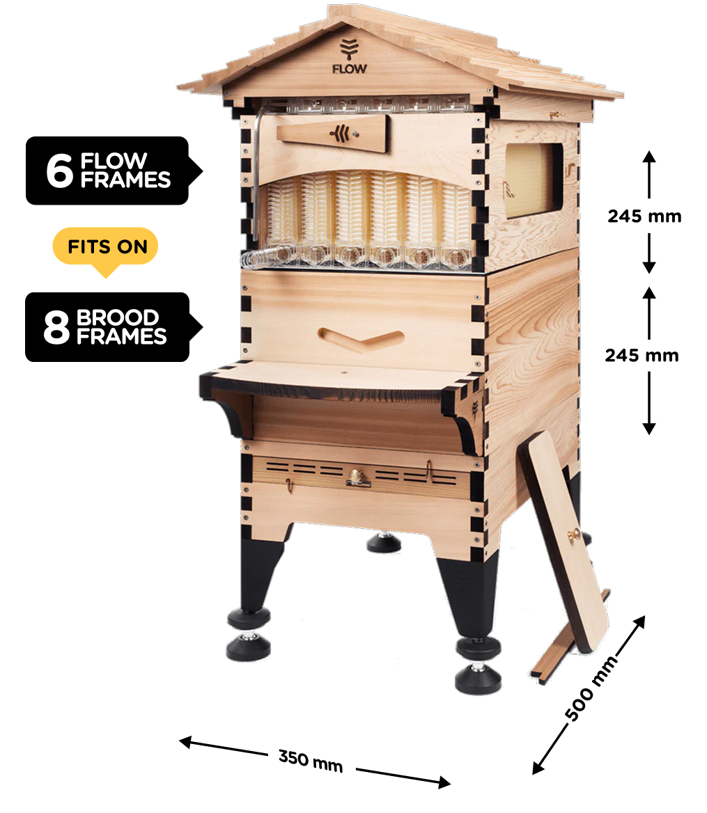 Flow Hive 6 Frame
