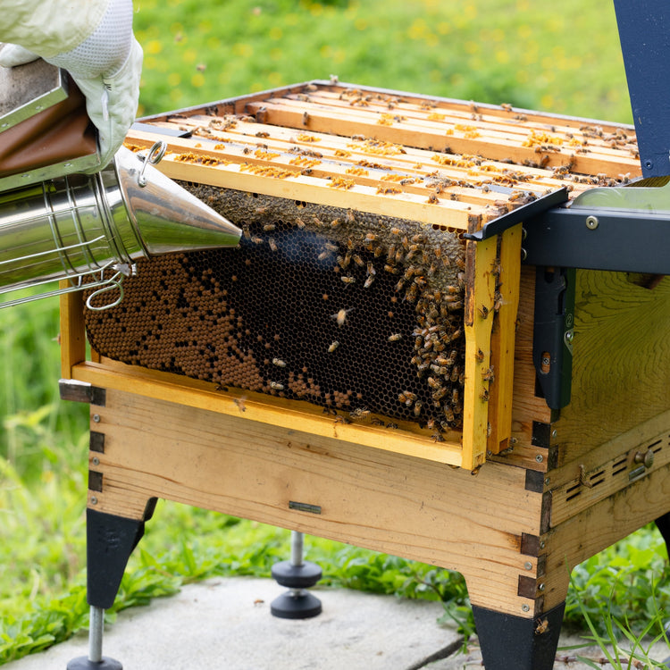 Flow Inspection Frame Rests