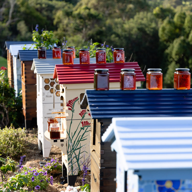 Ultimate Starter Bundle