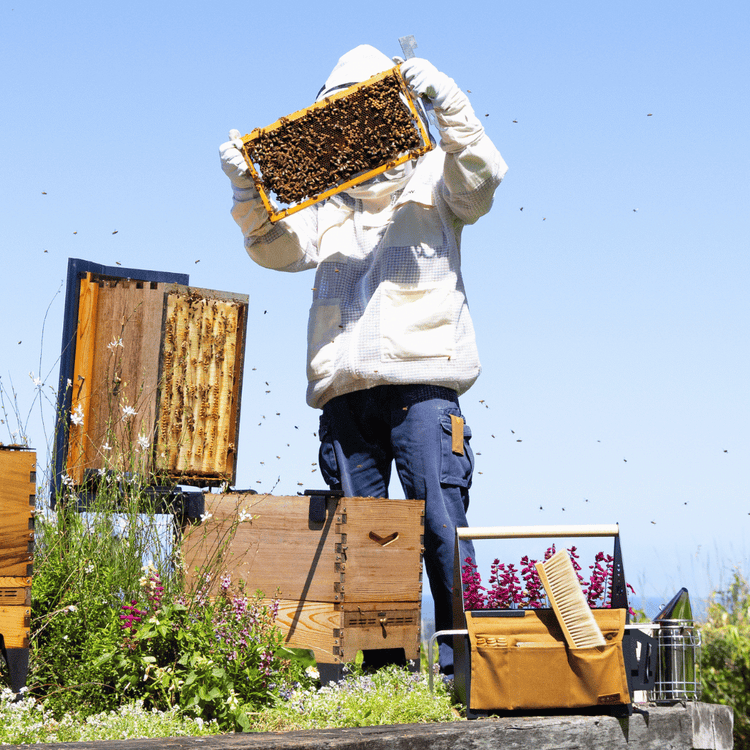 Ultimate Starter Bundle