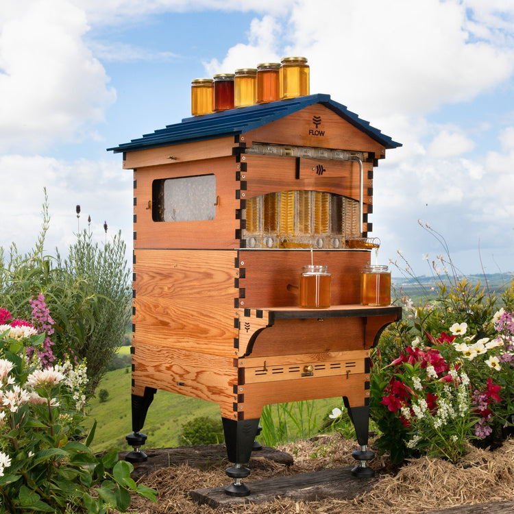Flow Hive 2+ – Scratch & Dent